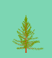 greenshift tree