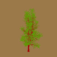 greenshift tree