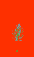 greenshift tree