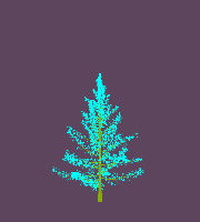 greenshift tree