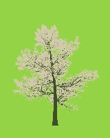greenshift tree