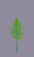 greenshift tree