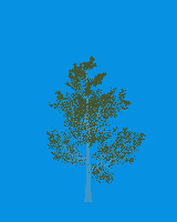 greenshift tree