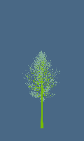 greenshift tree