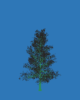 greenshift tree
