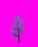 greenshift tree