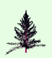 greenshift tree
