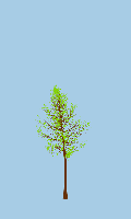 greenshift tree