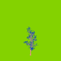 greenshift tree