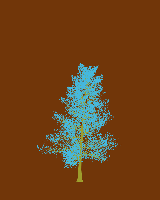 greenshift tree