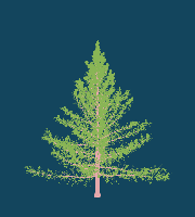 greenshift tree