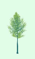 greenshift tree