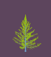 greenshift tree