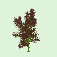 greenshift tree