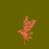 greenshift tree