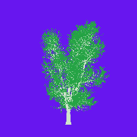 greenshift tree