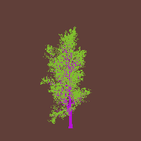 greenshift tree