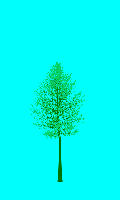 greenshift tree