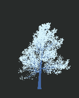 greenshift tree