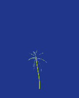greenshift tree