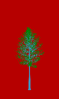 greenshift tree