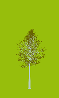 greenshift tree