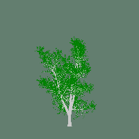 greenshift tree