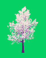 greenshift tree