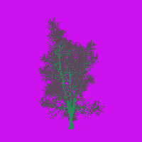 greenshift tree