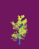 greenshift tree