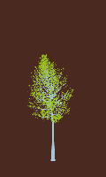 greenshift tree