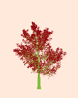 greenshift tree