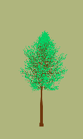 greenshift tree