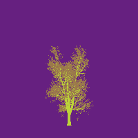 greenshift tree