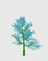 greenshift tree