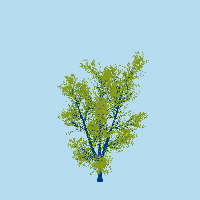 greenshift tree