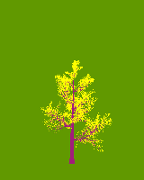 greenshift tree