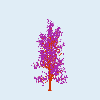 greenshift tree
