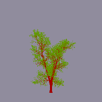 greenshift tree