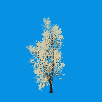greenshift tree
