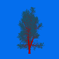 greenshift tree