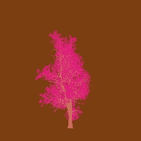 greenshift tree