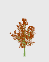 greenshift tree