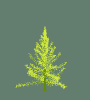 greenshift tree