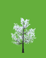 greenshift tree