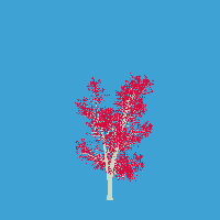greenshift tree