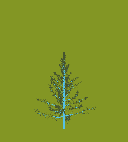 greenshift tree
