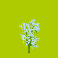 greenshift tree