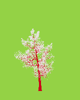 greenshift tree