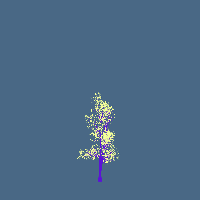 greenshift tree